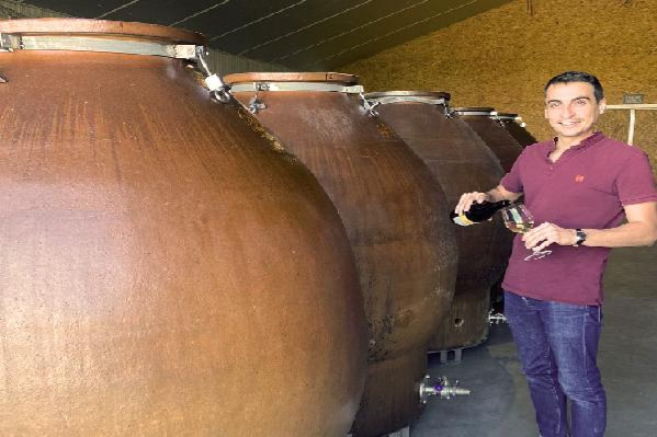 Les marchés et les finances du vin demandent moins de bois