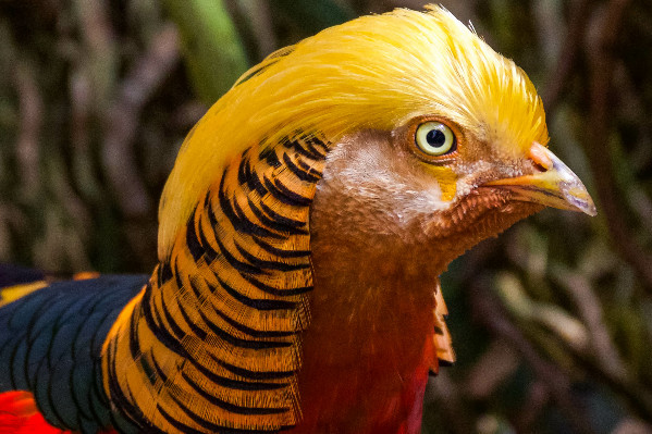 Donald Trump toujours fier de prendre en otage les vins français