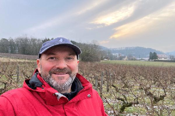 Le recépage préventif progressif freine l'esca dans les vignes