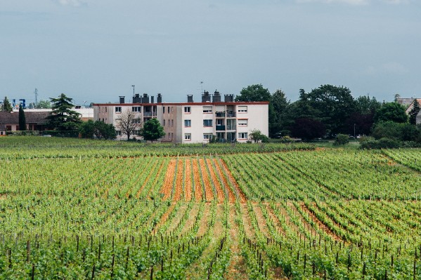 De nombreux vignerons concernés par des annulations de chartes de voisinage