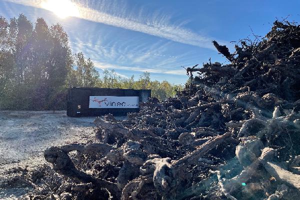 Amendement, bois de chauffage, coffrets pour vins... la nouvelle vie des ceps de vigne