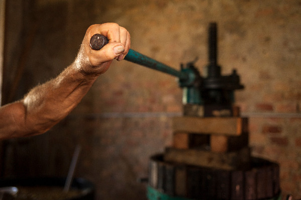 Bras de faire entre agriculture et gouvernement pour sortir de la zone crise