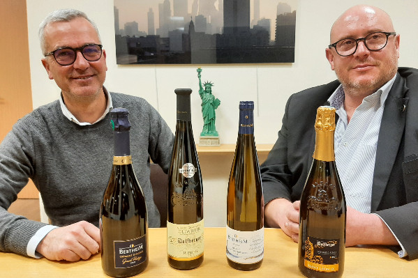 Pourquoi les caves de Bestheim et Wolfberger veulent fusionner