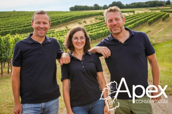 Un trio d’experts viticoles pour la Bourgogne