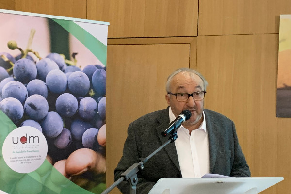 L'agilité des distilleries vinicoles pour combiner volumes records et crises