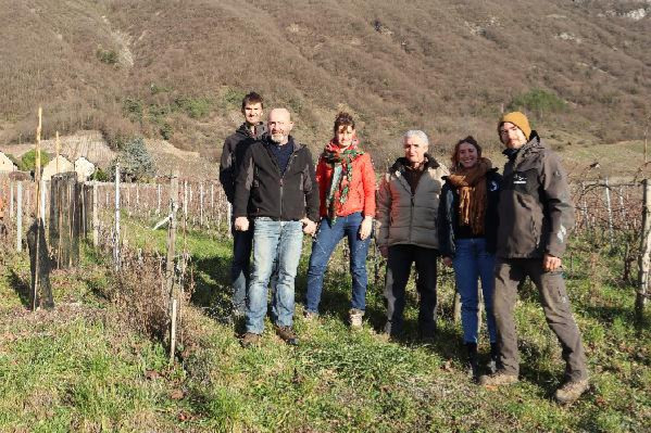 En Cuma, ces vignerons ne partagent pas que leur matériel