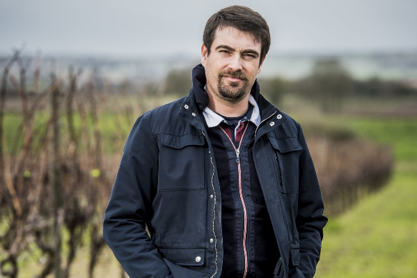 'L’important c’est ce que l’on fait dans le vignoble, pas ce que l’on écrit pour l’administration'