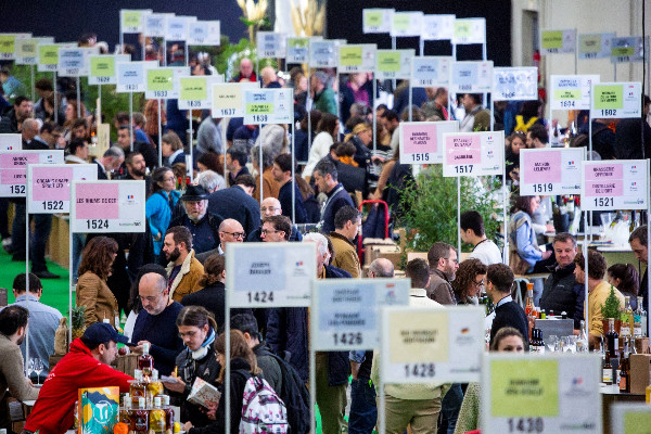 Un salon 'mi-figue' Mi-llésime Bio