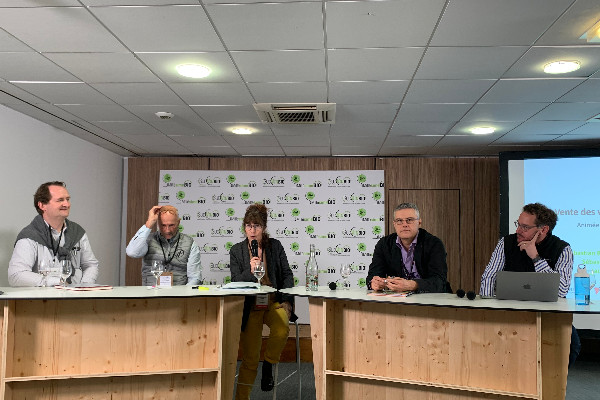 Tout ce que l'on peut dire sur le marché vrac du vin bio aujourd'hui