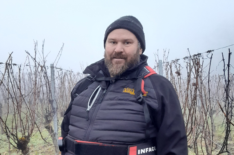 Les programmes phytos sans CMR vacillent dans les vignes entre manque de solutions et doses de cuivre qui explosent...