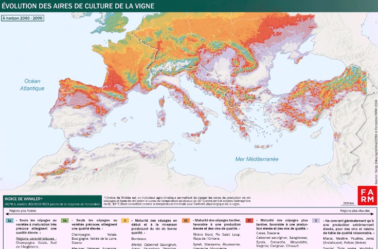 Le vignoble de Méditerranée va-t-il devoir déménager ?
