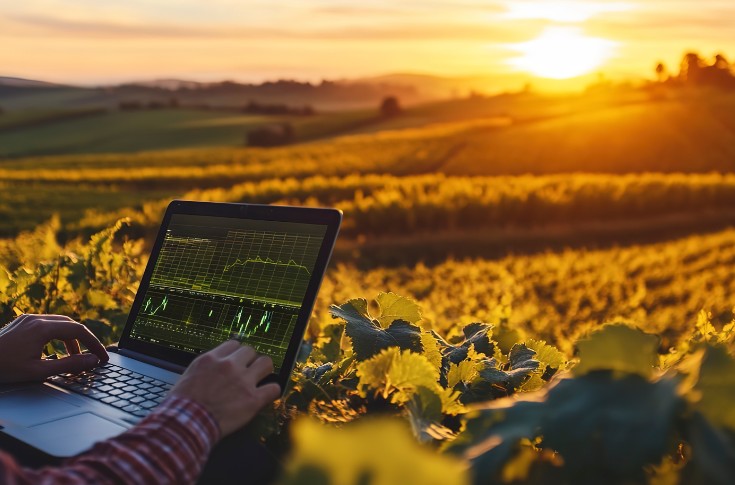 4 démonstrateurs pour adapter le vignoble au changement climatique