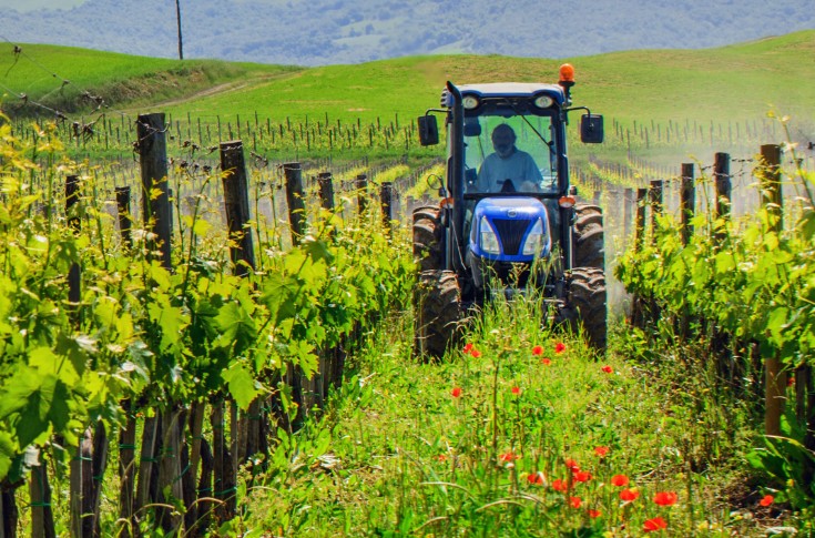 Les immatriculations tracteurs vignes au plus bas depuis 10 ans