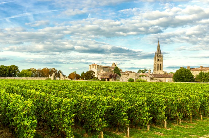 Même pas peur du changement climatique pour les vins de Bordeaux