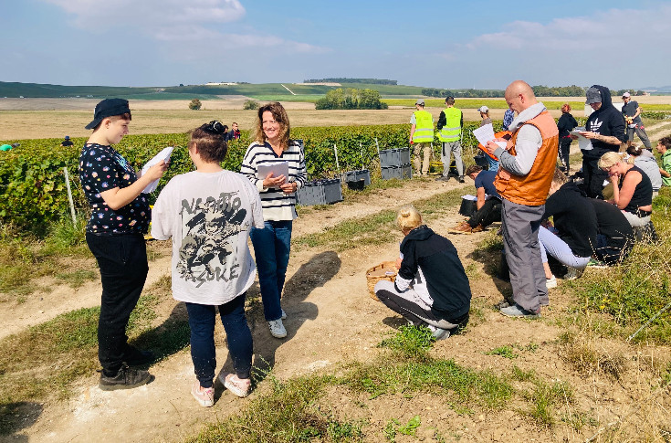 Le changement climatique frappe la vigne et ses travailleurs
