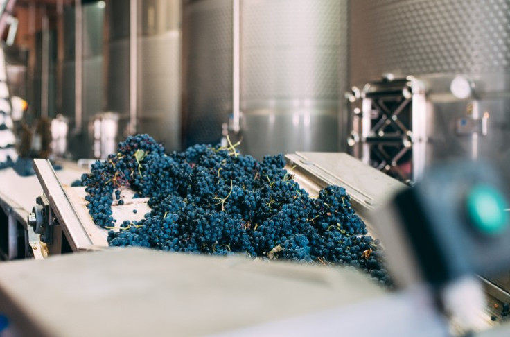 Pinpointing the yeast and bacteria in tomorrow’s wines