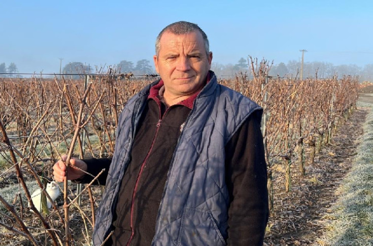 Sans l'herbicide Pledge, 