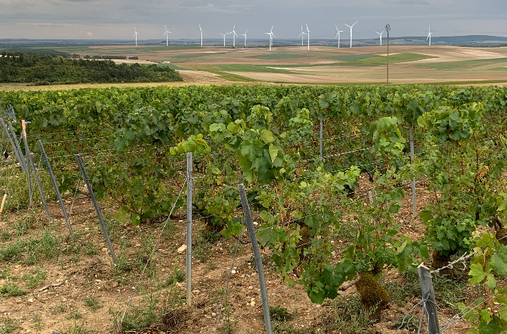 Eolienne contre paysages viticoles : la jurisprudence renforcée
