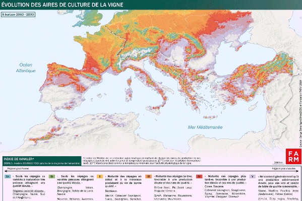 Le vignoble de Méditerranée va-t-il devoir déménager ?