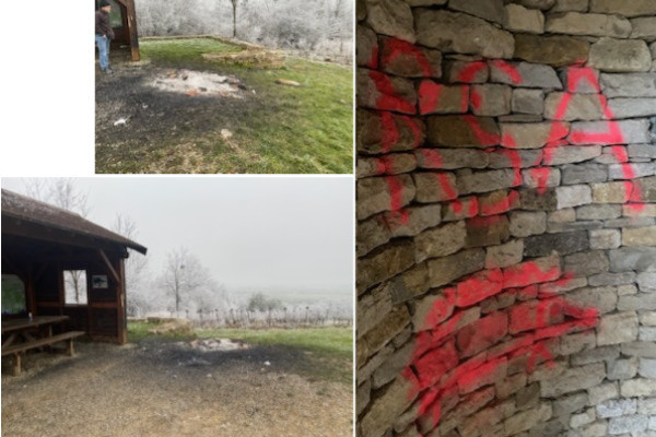 Saccage d’une vigne conservatoire : échalas brûlés, panneaux arrachés, tags de croix gammées…