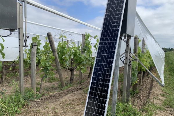 Le Viti-Tunnel bientôt déployé sur les vignes AOC