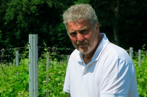 L'âge ne fait pas, seul, la résistance des vignes aux aléas climatiques