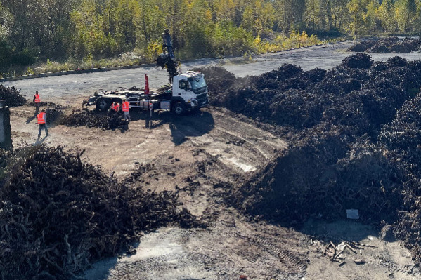 Des vignes arrachées et non brûlées grâce au redressement de Vinea Énergie