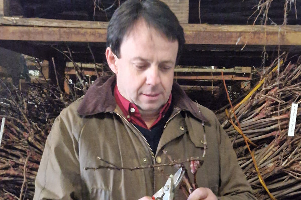 'Il y avait véritablement une attente' de pieds de vigne certifiés 'origine France'