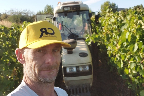 'Des tueurs de marché font le tour des caves avec des offres à la casse : 30-40 €/hl de vin'