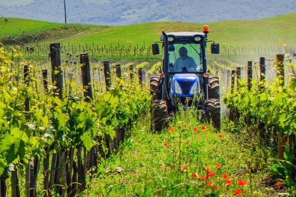 Les immatriculations tracteurs vignes au plus bas depuis 10 ans