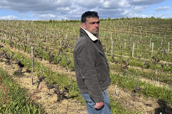 'Un déchaumeur à disques pour 450 €' : les bonnes occases des casses agricoles