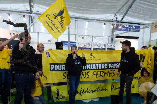 FranceAgriMer dénonce les dégradations syndicales et critiques sur l'arrachage viticole