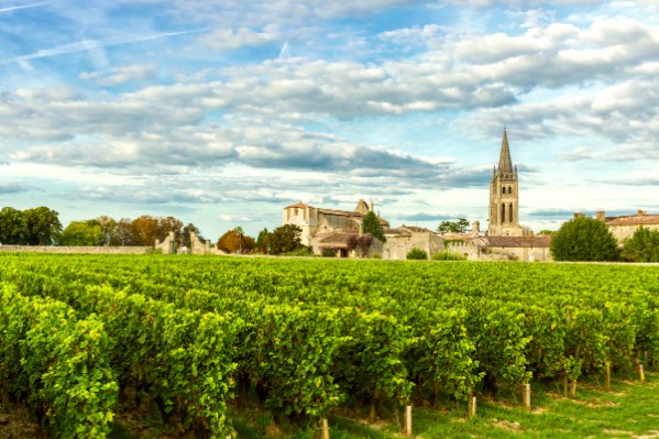 Même pas peur du changement climatique pour les vins de Bordeaux