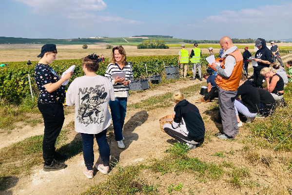Le changement climatique frappe la vigne et ses travailleurs