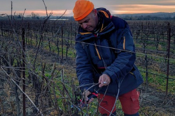 'On n’a plus de revenus, le vin se vend moins cher que de l’eau minérale !'