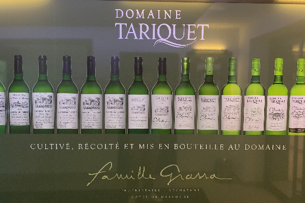 Sous sauvegarde, les vins Tariquet pas paniqués