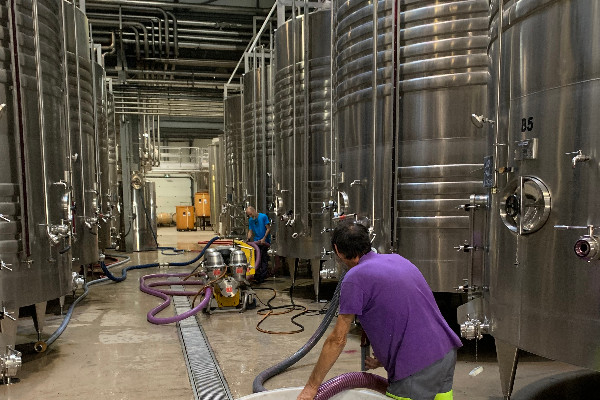 Les finances des adhérents de caves coopératives fragilisées par la crise