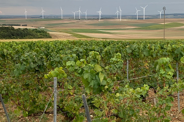 Eolienne contre paysages viticoles : la jurisprudence renforcée