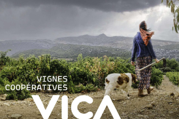 Nouveau souffle pour la marque ombrelle des Vignes du Vent