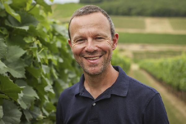 Les conseils des experts pour des vignes nickel avant le printemps