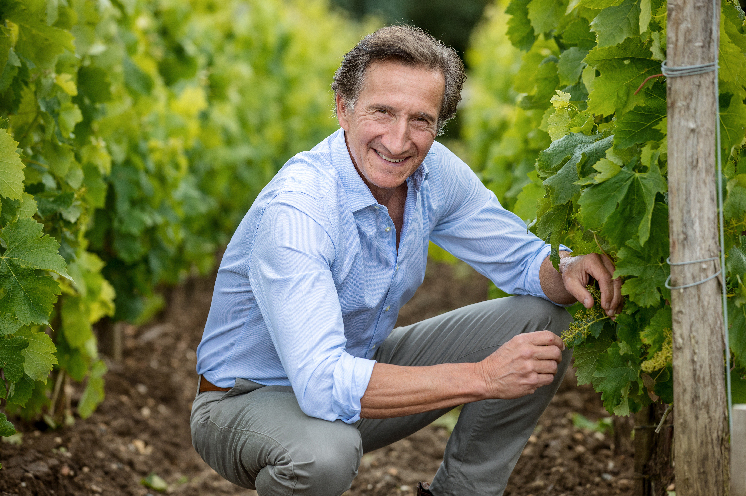 Irrigation des vignes : Bordeaux cherche sa voie