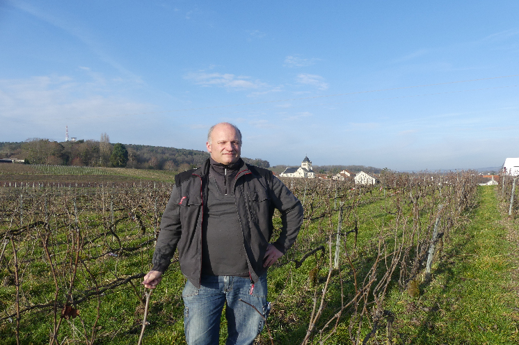 Deux vignerons séduits par un biochélate pour lutter contre la chlorose dans leurs vignes