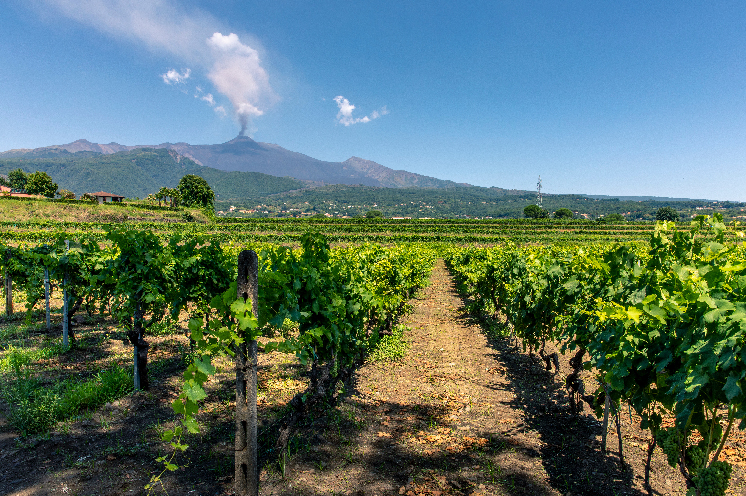 Dominé par Mamma Etna, un vignoble explosif en Sicile