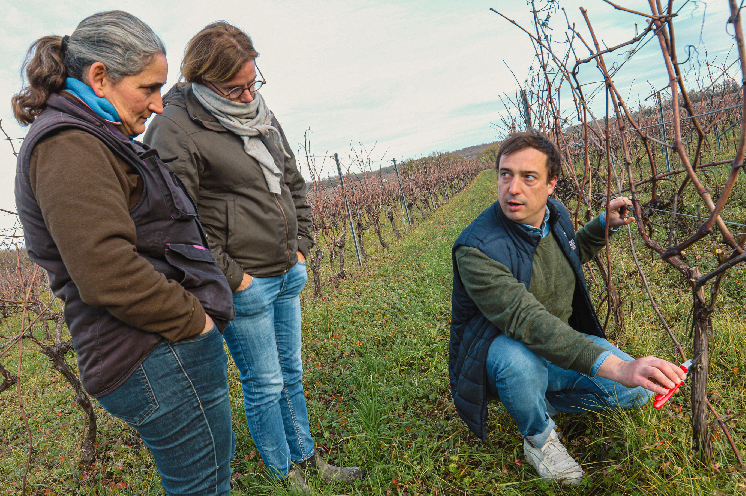 « Nous prenons vite des habitudes qui peuvent faire plus de dégâts qu’on ne le pense dans les vignes