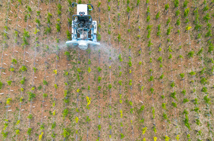 L'assurance récolte sur la réduction des phytos marche : jusqu'à -50 % de fongicides