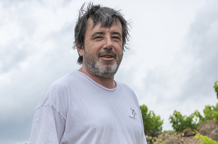 Fin annoncée d'une cave coopérative actant sa cessation de paiements : 