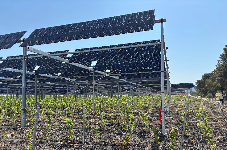 Jusqu’à 60 % d’économie d’eau en viticulture sans perte de rendement grâce à l’agrivoltaïsme dynamique
