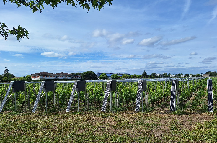 Viti-Tunnel lève 2 millions € pour sa solution dès 22 €/m², Bienesis sacré au CES de Las Vegas ☔
