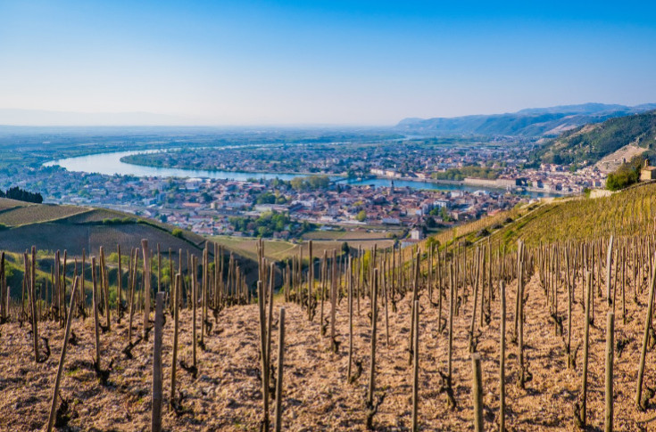 Des manifestants culs nus chez le négociant Michel Chapoutier