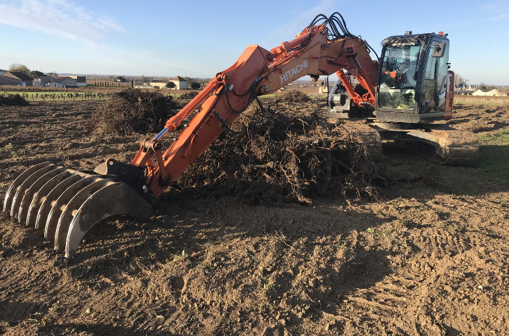 Les conditions d'arrachage des vignes à 4 000 €/ha en 2026 : parcelles de 10 ans minimum et sans chardonnay pour l'arrachage partiel, 0 critère pour l’arrachage total